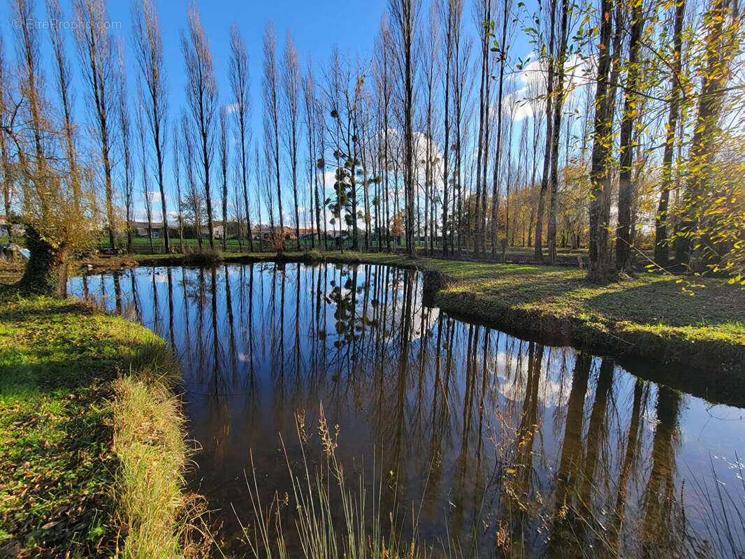 Terrain à LEGE
