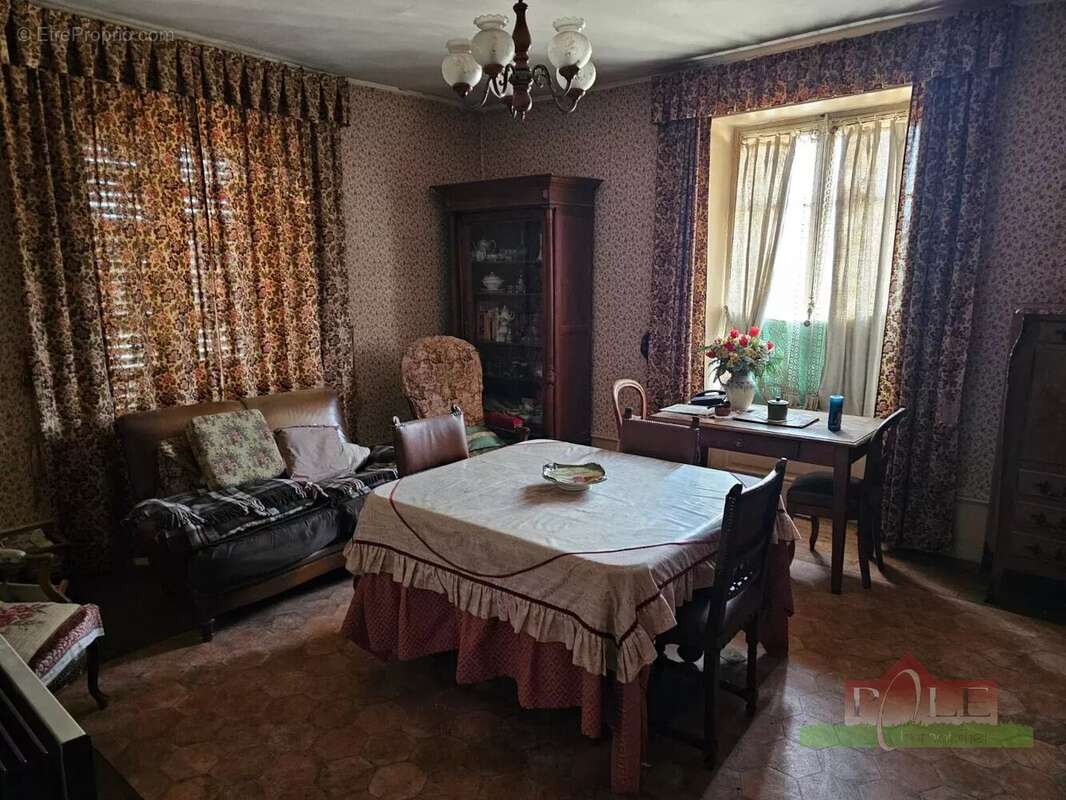 VIENNE, Immeuble Bourgeois de 360m² avec terrain de 830m² - photo 5