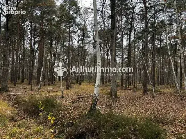 Domaine de Chasse ou Ferme équestre - photo 4