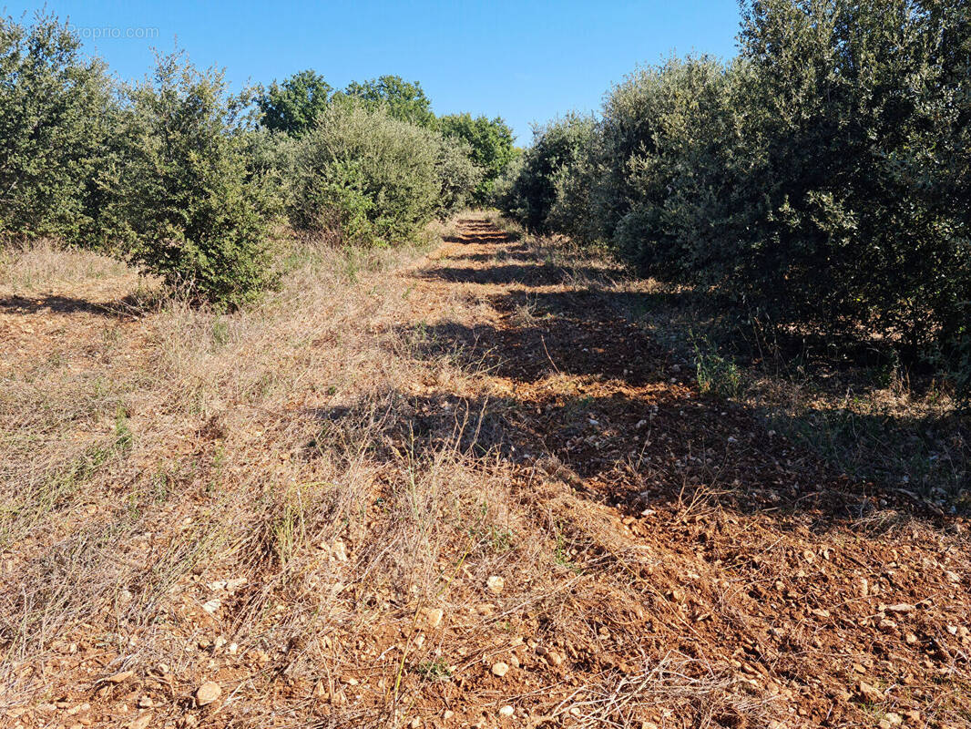 Terrain à VILLES-SUR-AUZON