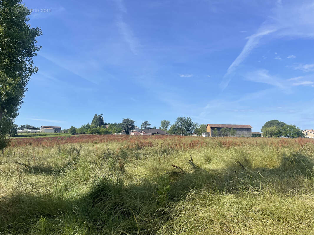 Terrain à CASTELJALOUX