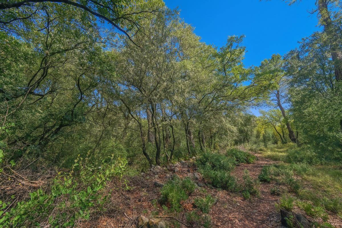 Terrain à LORGUES