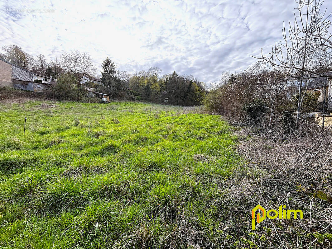 Terrain à JEZAINVILLE