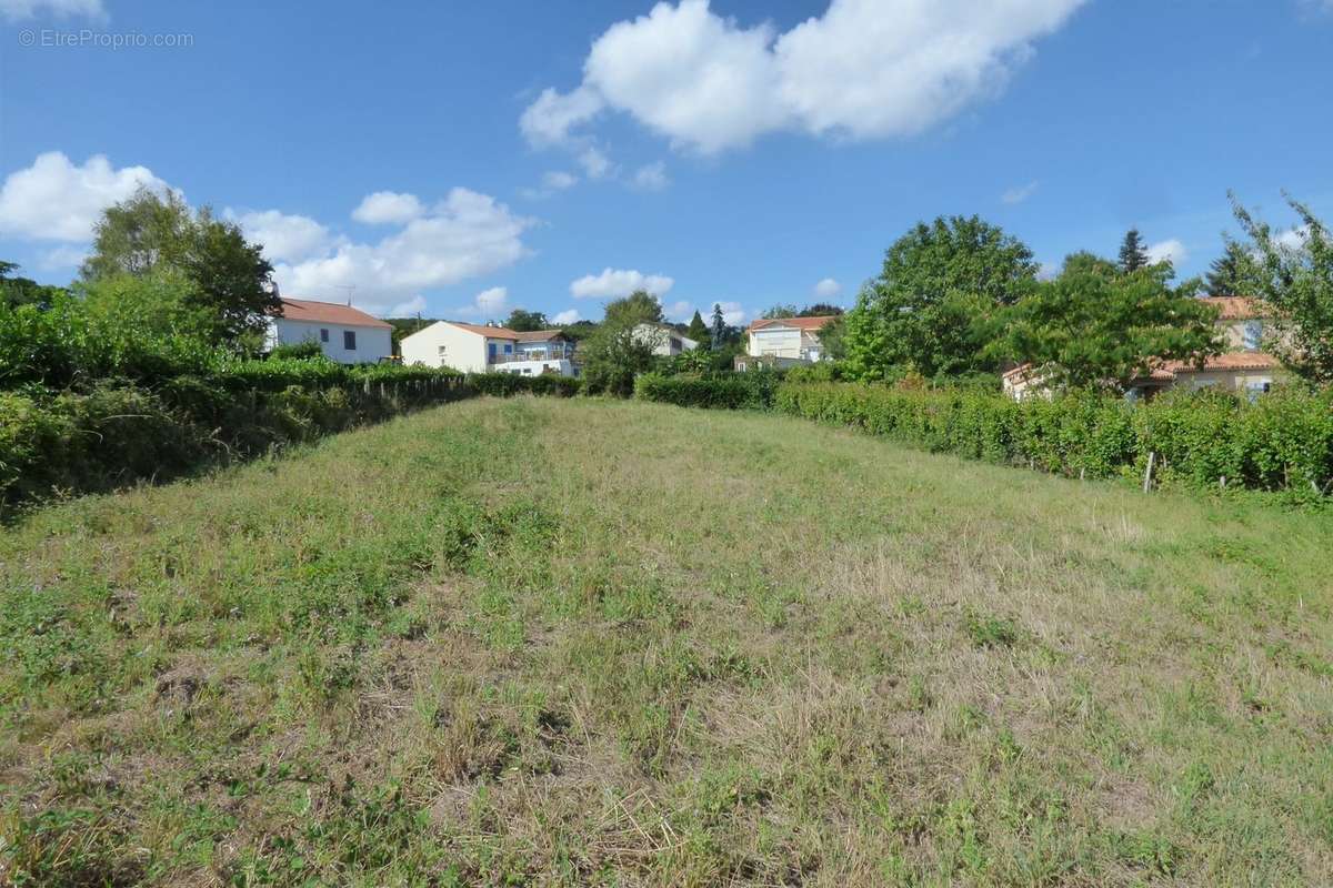 Terrain à CHANTONNAY