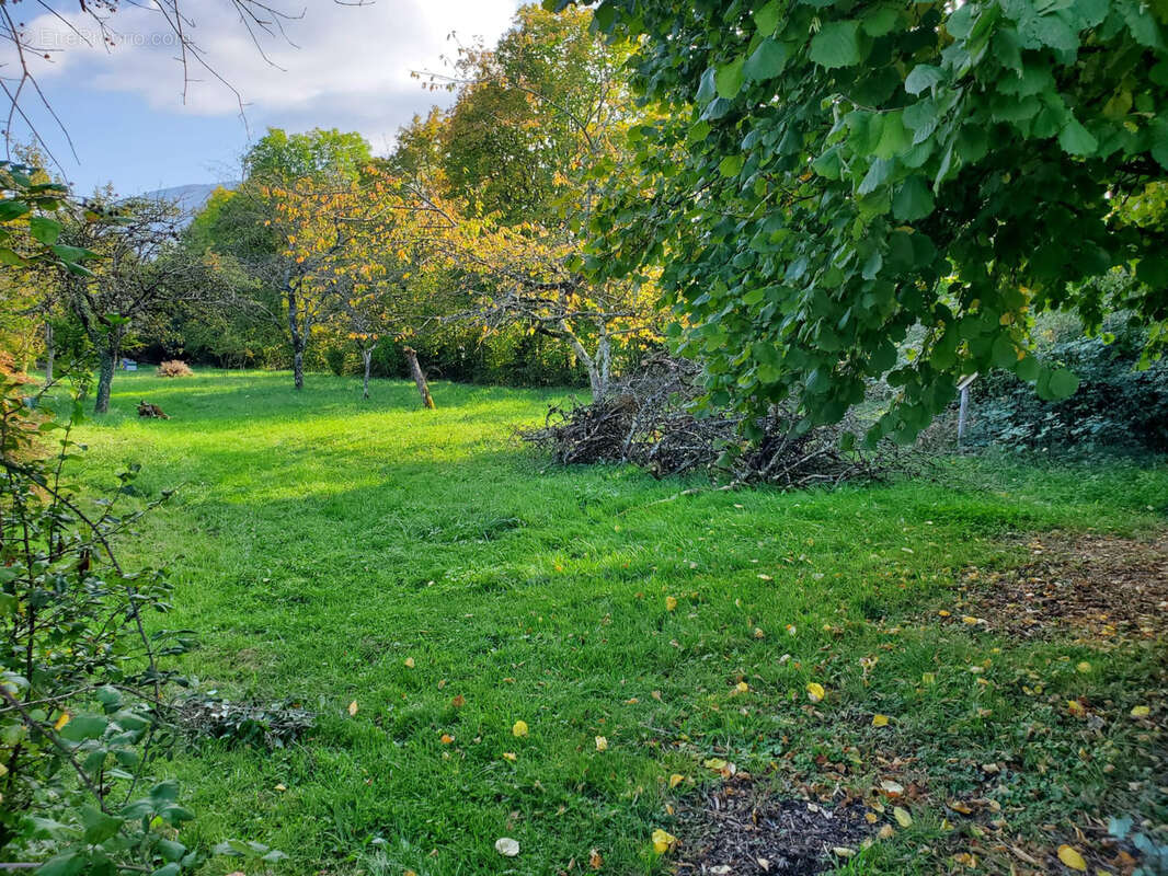 Terrain à SAINT-JORIOZ