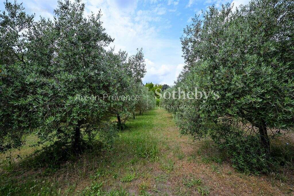 Maison à AIX-EN-PROVENCE