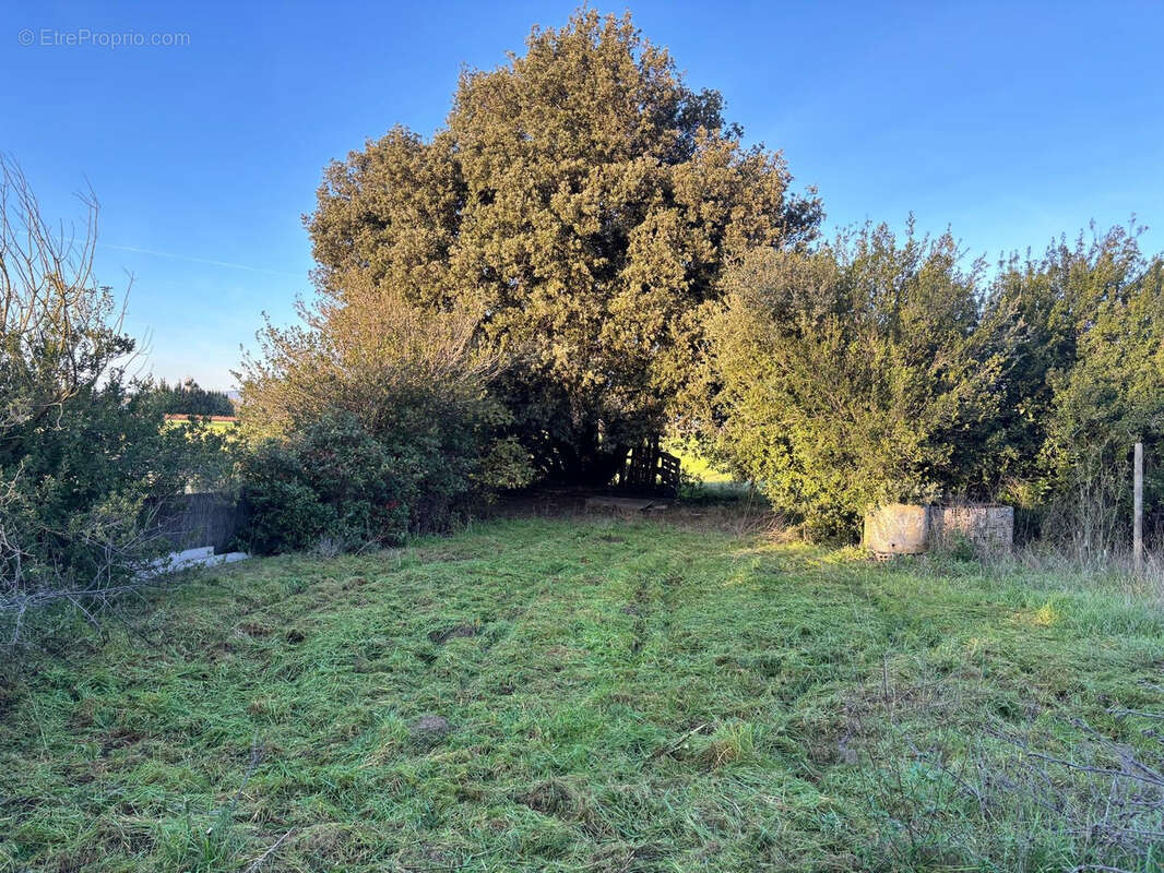 Appartement à VILLESISCLE