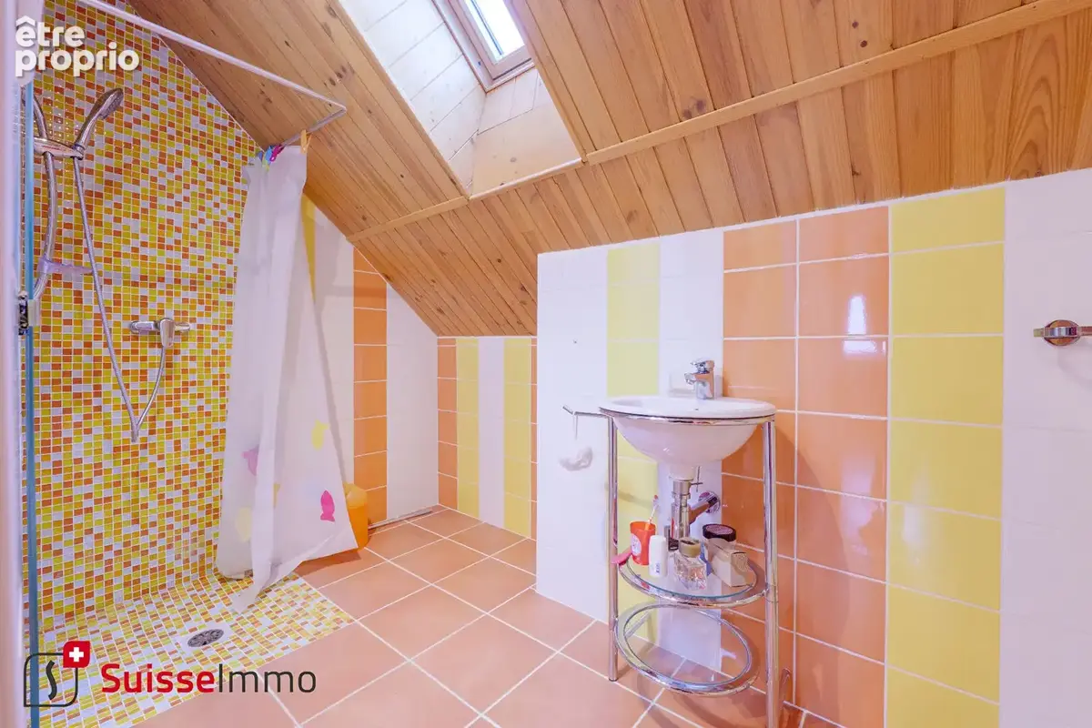 Maison L'Isle Sur Le Doubs 200 m2 - photo 13