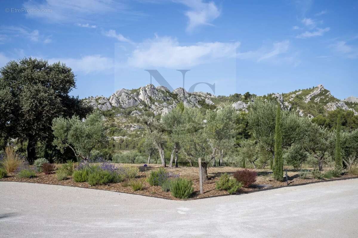 Maussane-les-alpilles / propriété de maître - photo 46