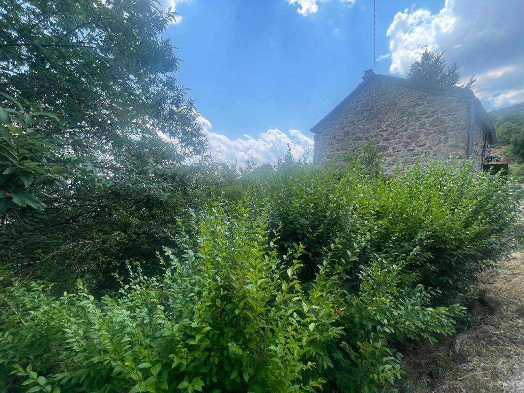 Malarce sur la thine - photo 2