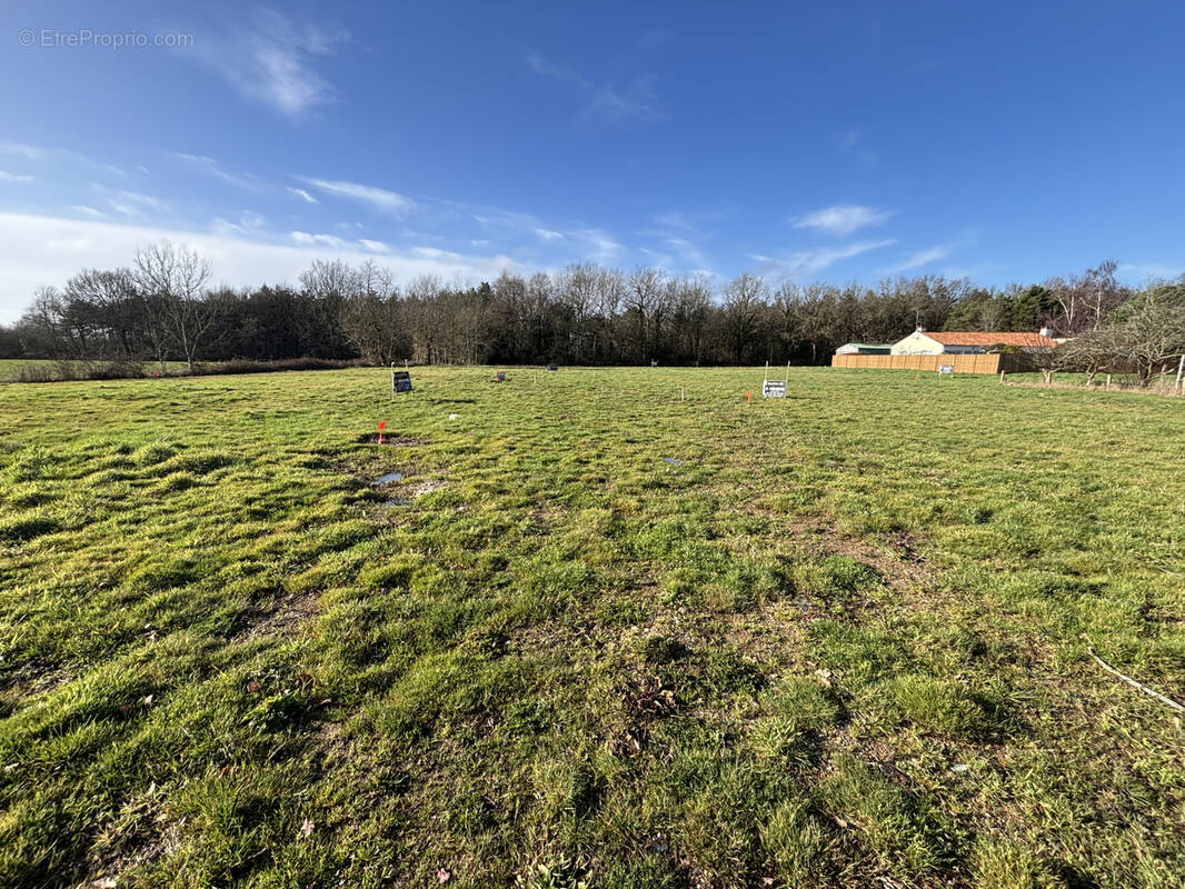 Terrain à TALMONT-SAINT-HILAIRE