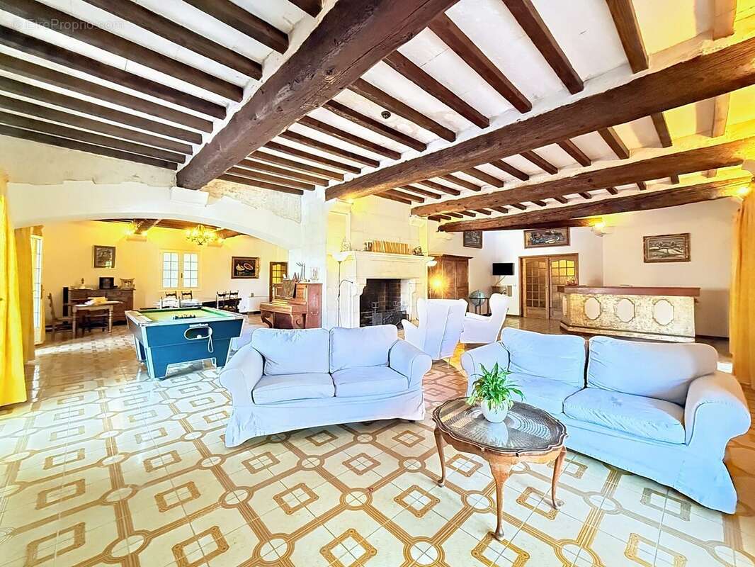 Maison 829 m² à Fontvieille  - photo 6