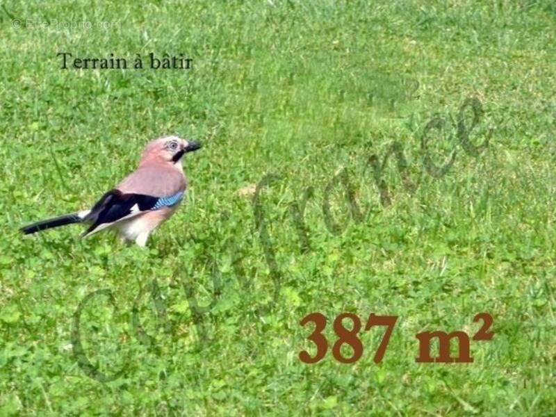 Terrain à BETHENIVILLE