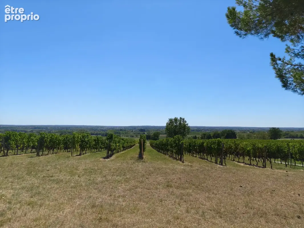 Propriété viticole avec maison, dépendances et vignoble ! - photo 7