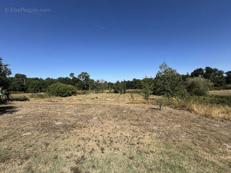 Maison de plain-pied avec grand jardin et une piscine - photo 6