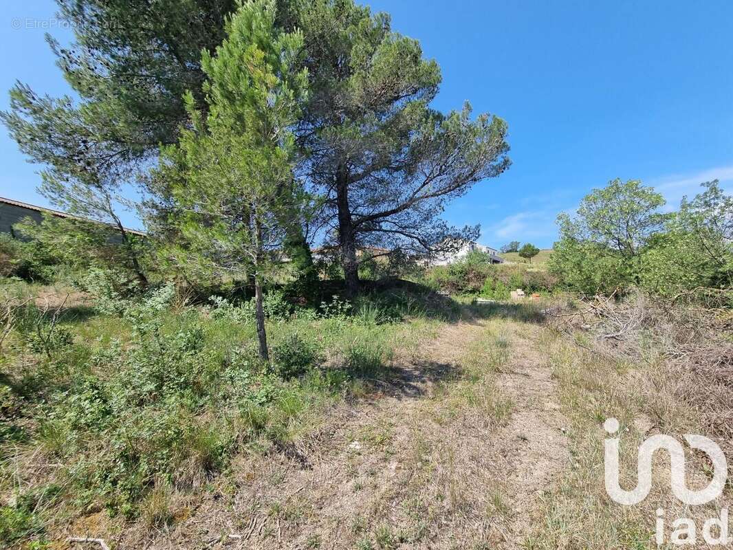 Terrain 1318 m² à Villeneuve-Les-Corbieres  - photo 4