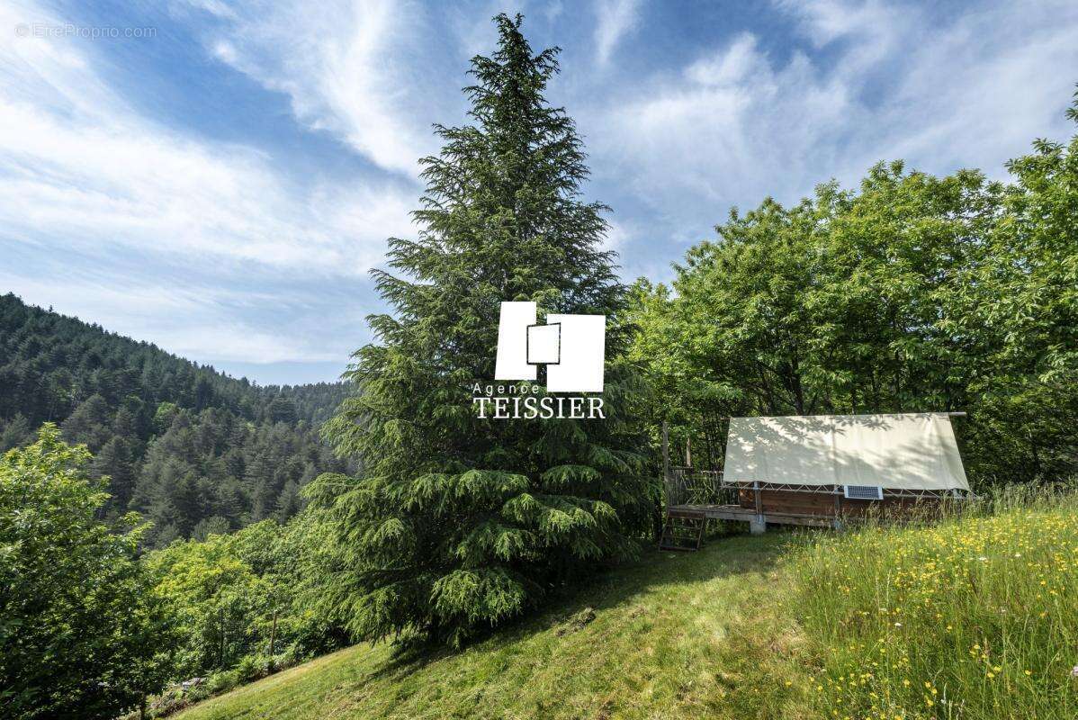 Mas Cévenol avec une vue dégagée et près de 3 hectares de te - photo 9