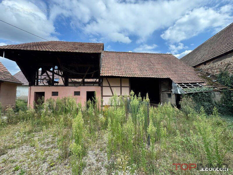 Terrain à RUELISHEIM