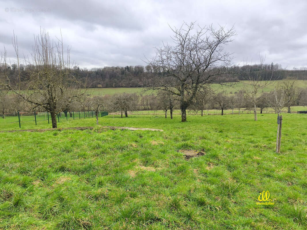 Terrain à FRANCHEVAL