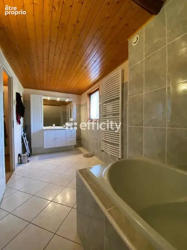 Maison 13 pièces 236 m² à vendre à Saint-Laurent-Du-Pont (38380) - photo 9