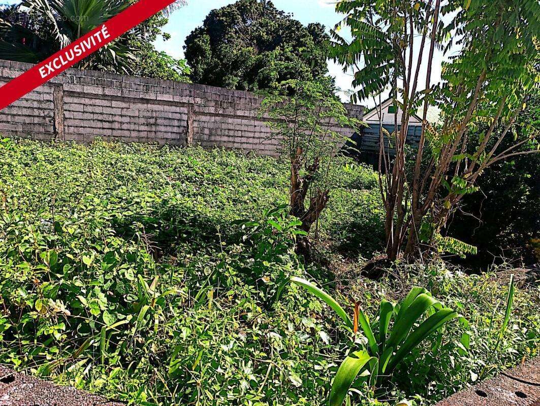 Maison à SAINTE-SUZANNE