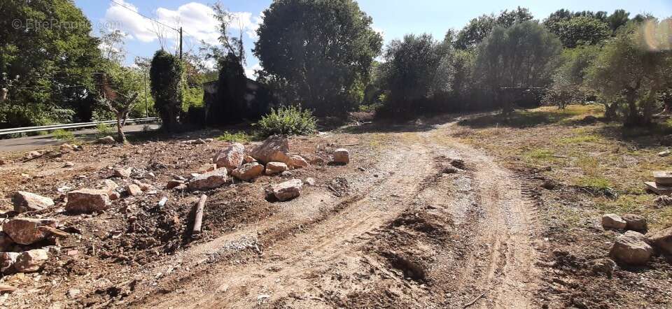 Terrain 750 m² à Draguignan  - photo 3