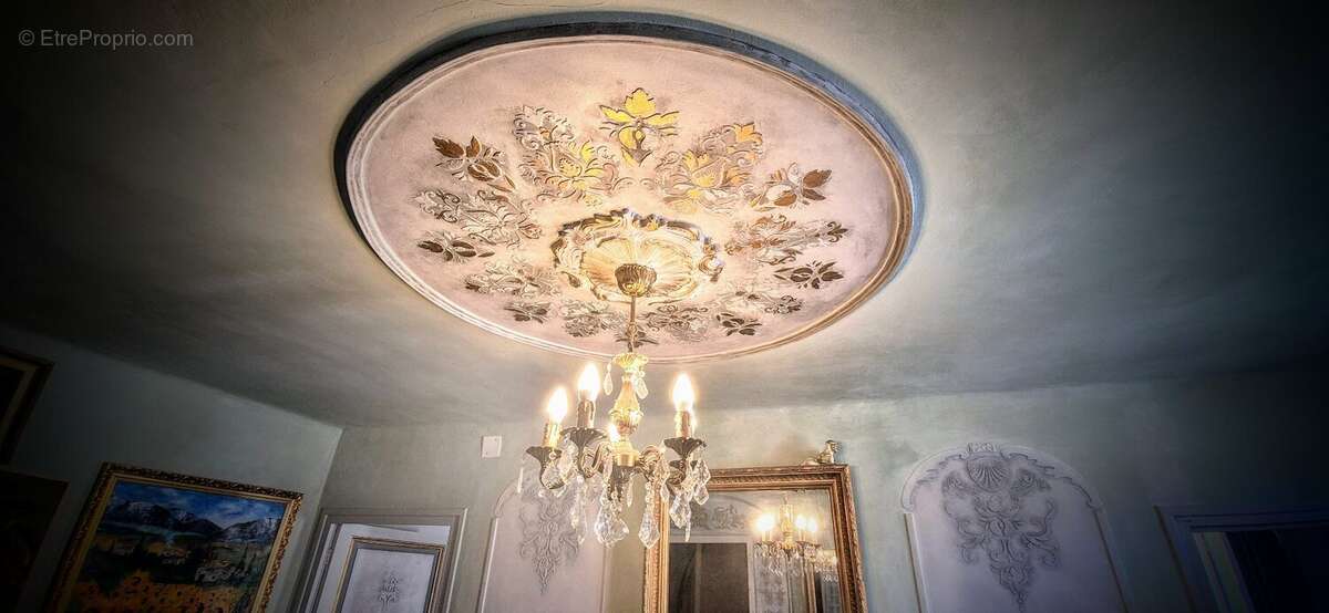 Maison de Village d'Exception avec gîtes - photo 13