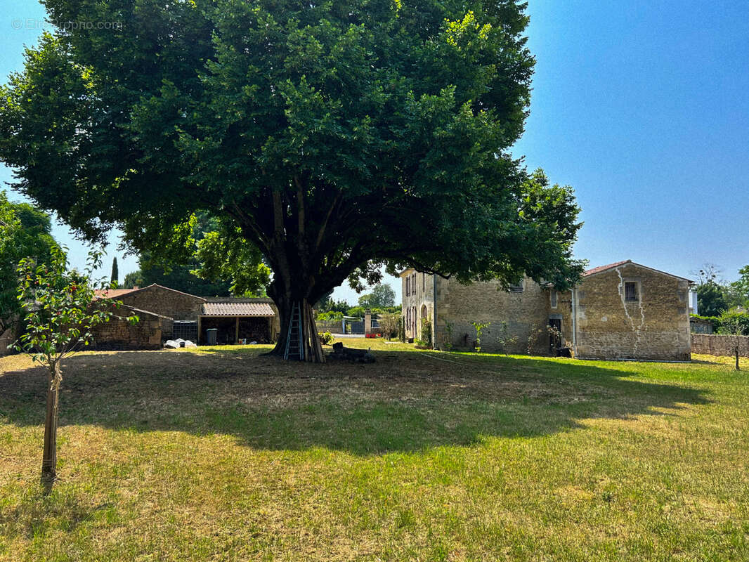 Maison à SAINT-ANDRE-DE-LIDON