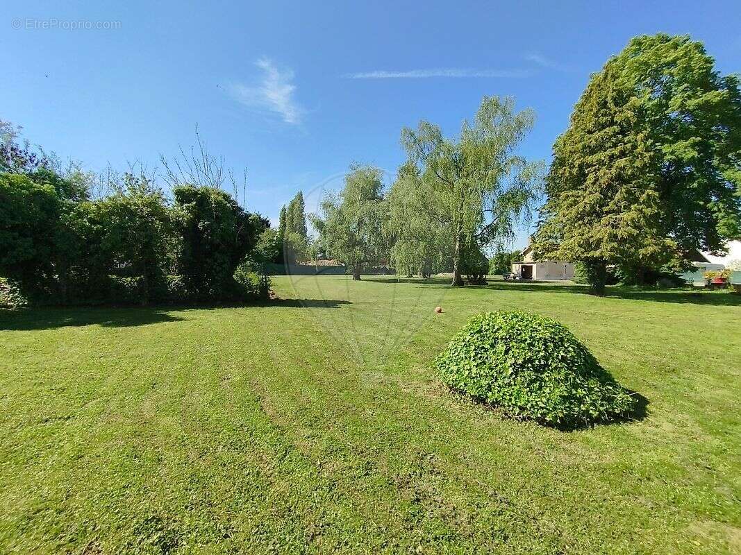 Terrain à GRANDPUITS-BAILLY-CARROIS