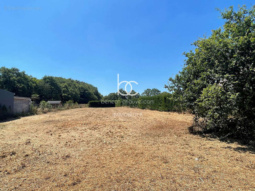 RARE : Grand Terrain Constructible (1438 m²) Hors Lotissement à La Trinité-Surzur - photo 2