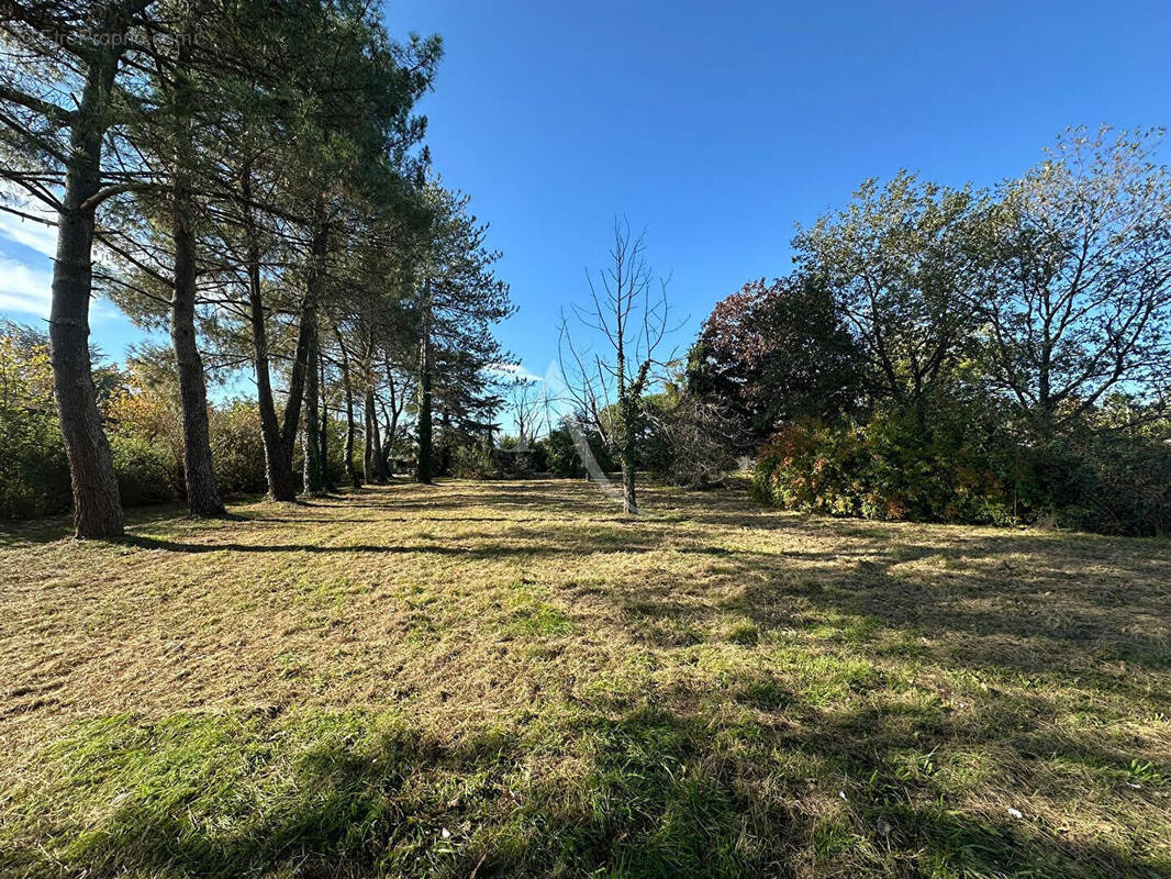 Terrain à BUZET-SUR-TARN