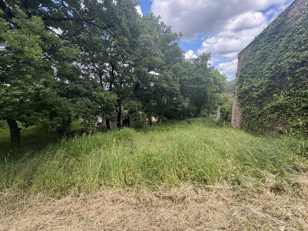 Terrain à LES MAYONS