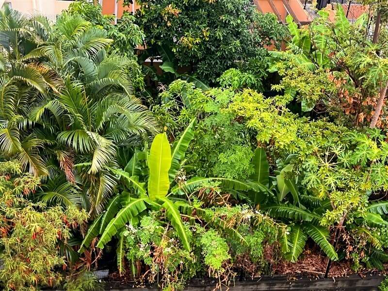 Appartement à SAINT-DENIS