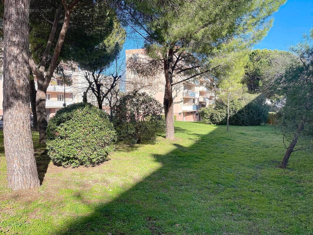 Photo 1 - Appartement à MONTPELLIER