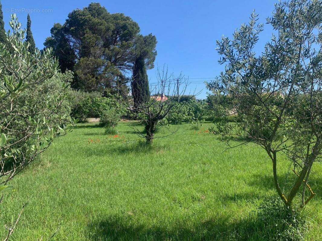 Photo 1 - Terrain à AUBIGNAN