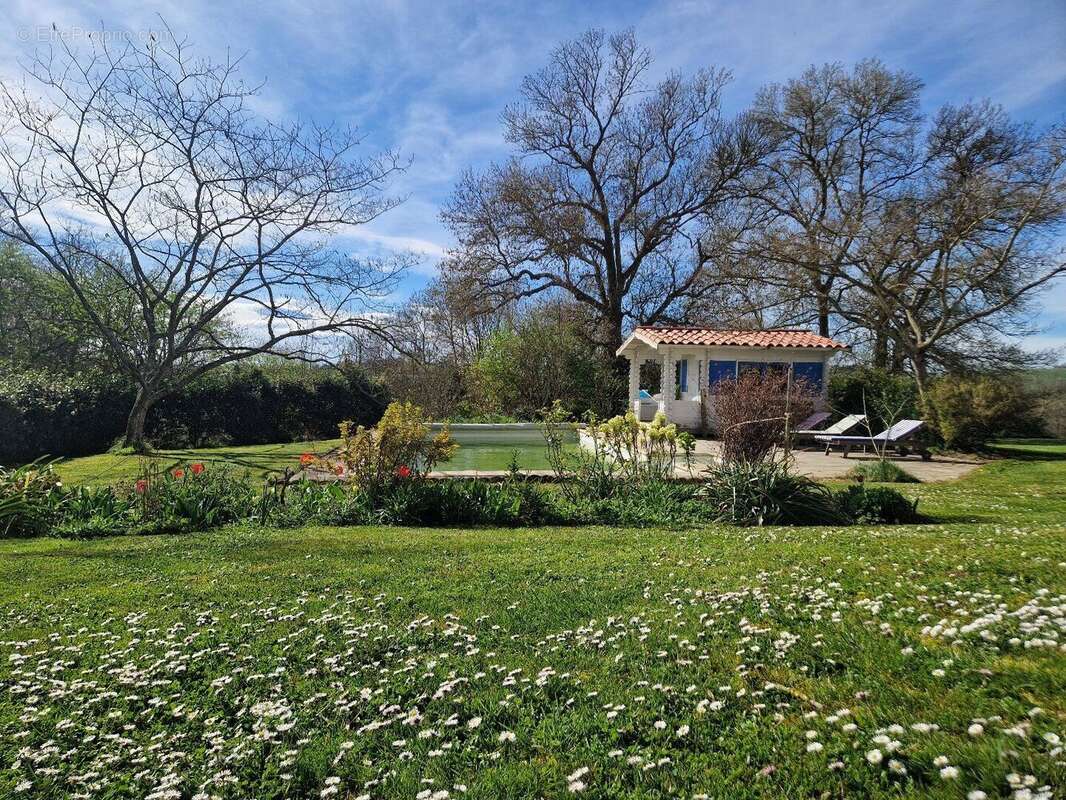 Propriété avec piscine sur environ 1,5 Ha de terrain - photo 10