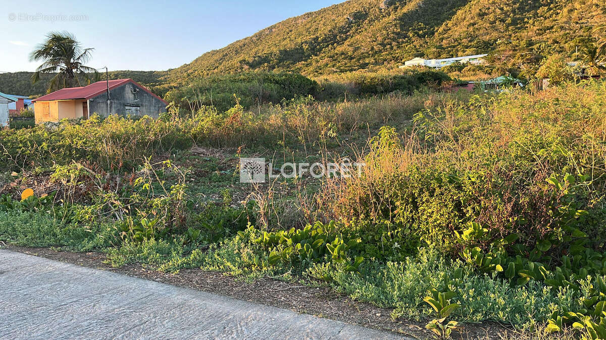 A La Désirade - Un terrain plat de 1240 m²  Une véritable pépite - photo 2