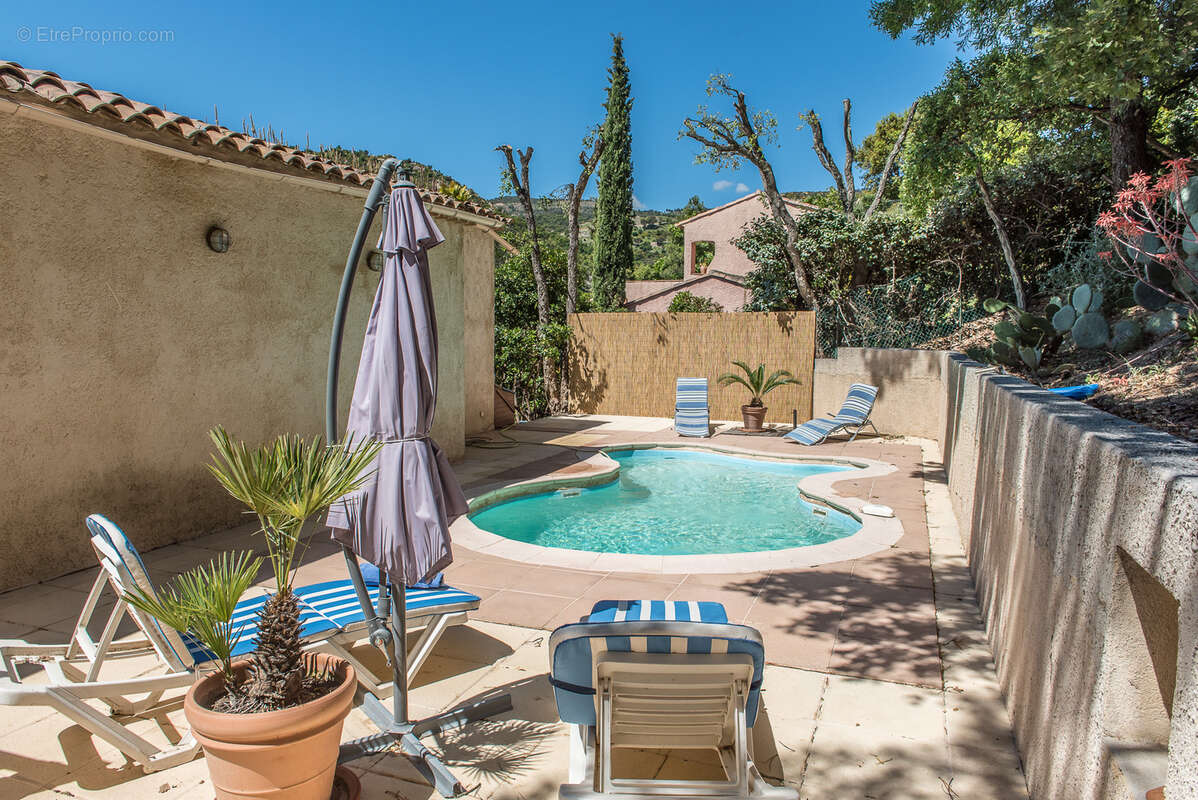Villa vue sud - 630 m2 de jardin avec piscine - garage - photo 4
