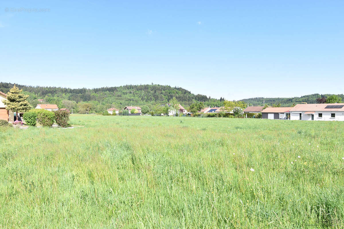 Terrain constructible Anould 2058 m2 - photo 4