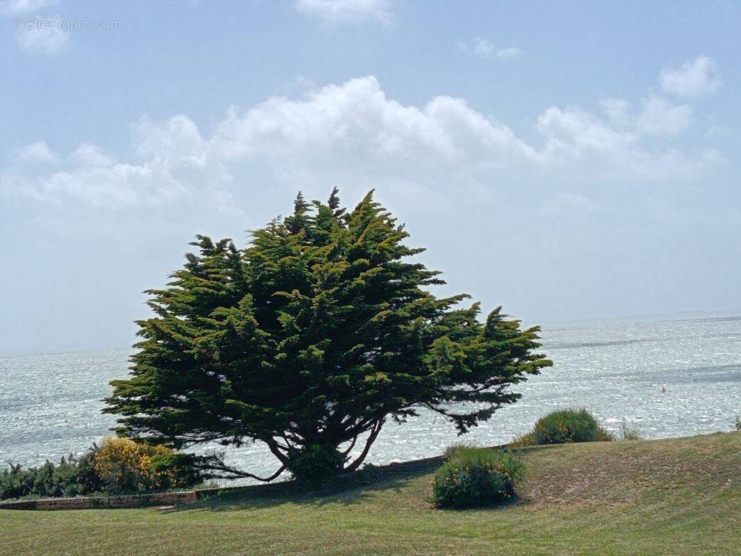 Appartement à ARZON