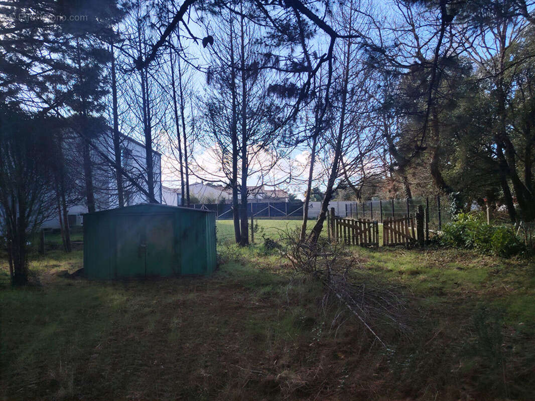 Terrain à SAINT-HILAIRE-DE-RIEZ
