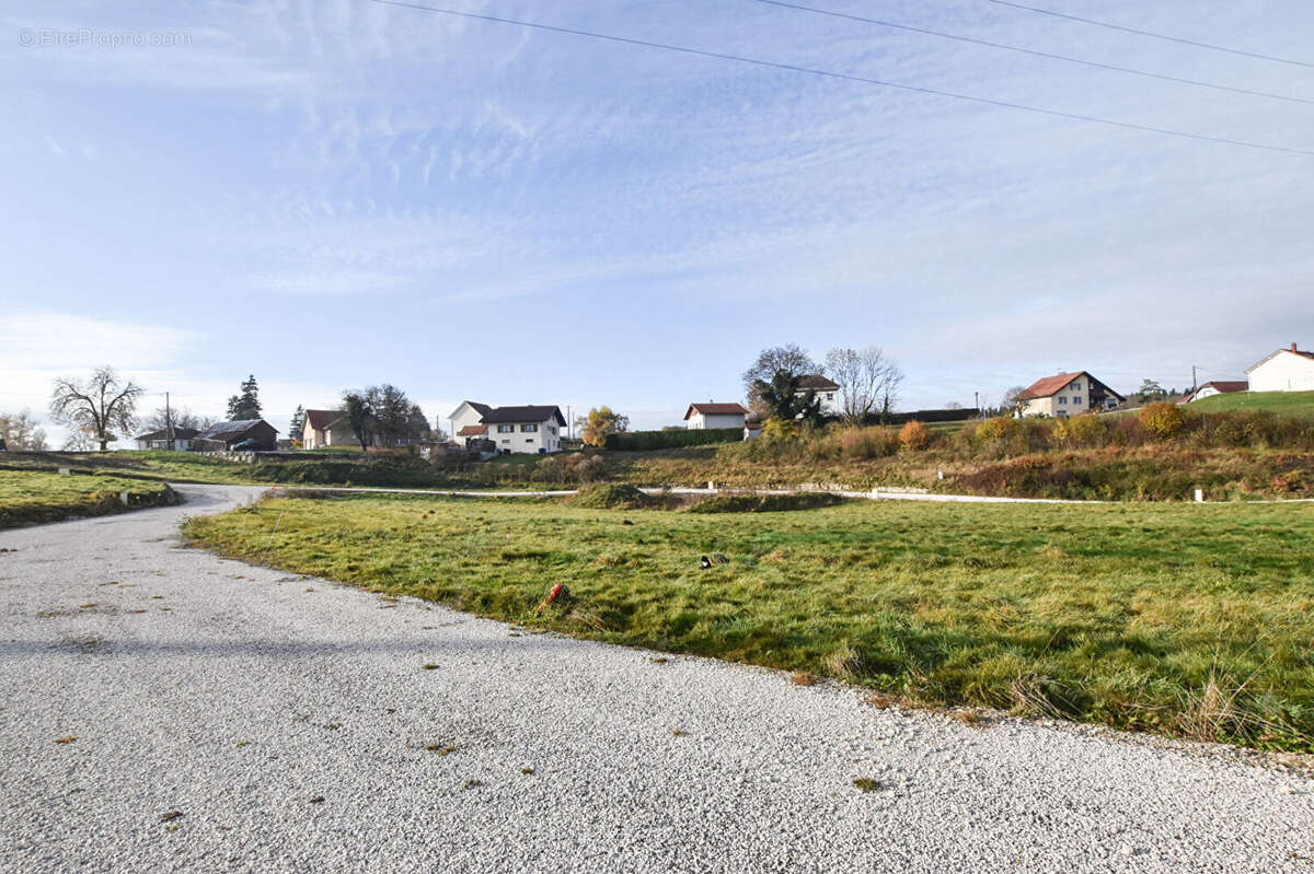 Terrain à L&#039;HOPITAL-DU-GROSBOIS