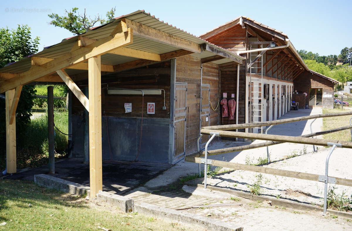 Haras du mas de meyrie - photo 14