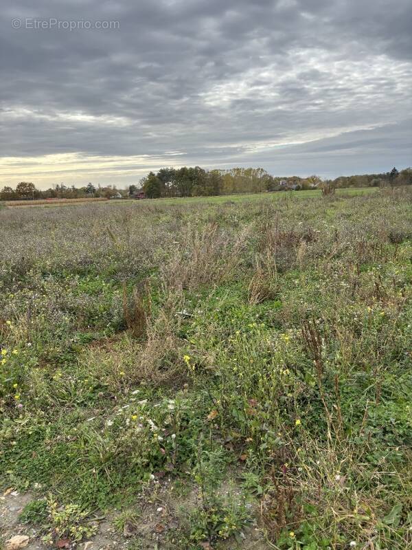 Terrain à LE LOUROUX-BECONNAIS