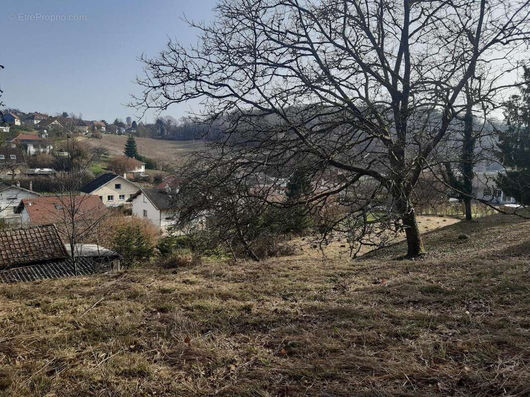 Photo 3 - Maison à ETUPES