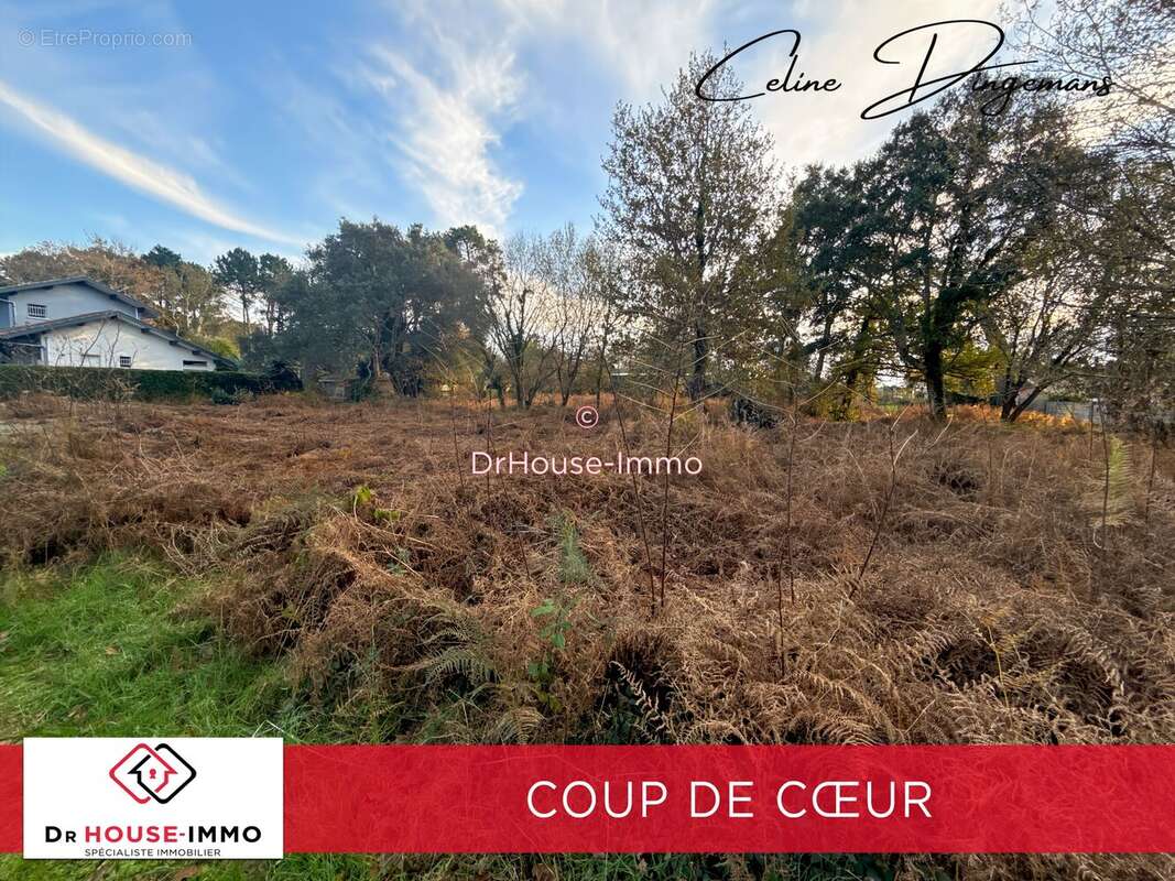 Terrain à MESSANGES