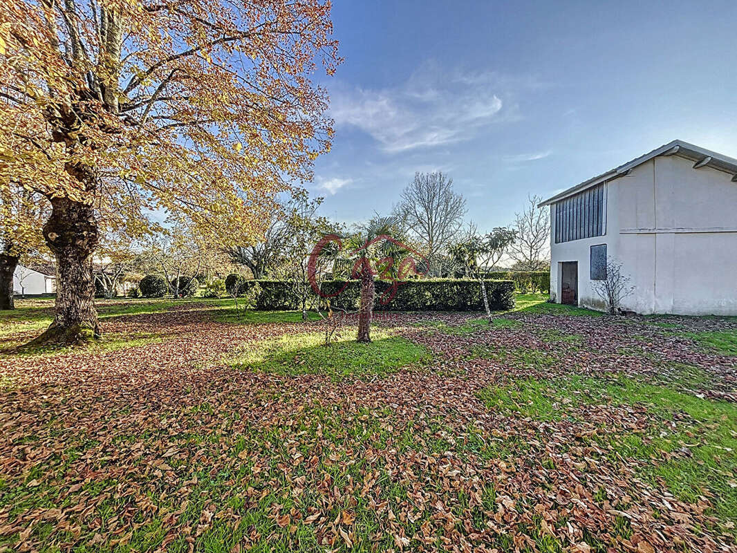 Terrain à FARGUES-SAINT-HILAIRE