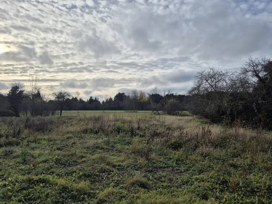 Terrain à JURANVILLE