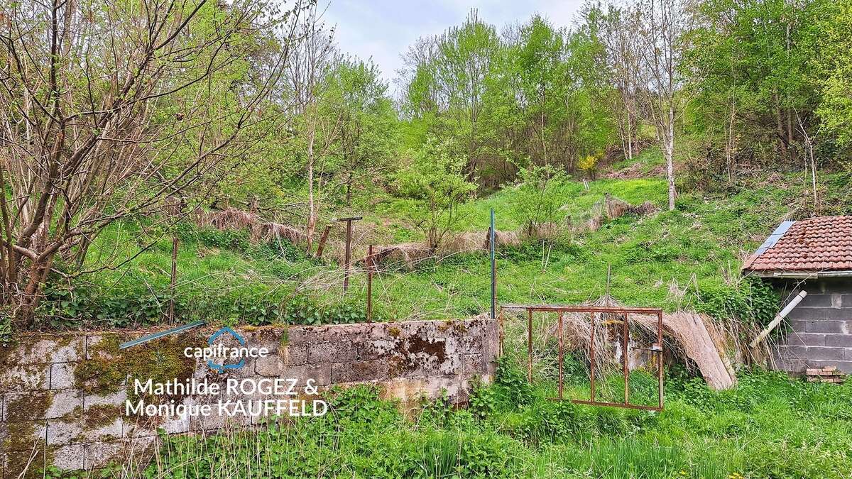 Immeuble à vendre SAINT MARTIN DES OLMES (63) 4 appartements avec 1,2 hectare de terrain - photo 24