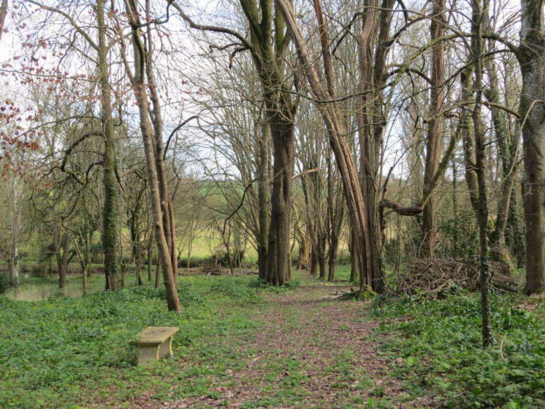Elégante propriété,  parc et dépendances sur 3 ha - photo 9